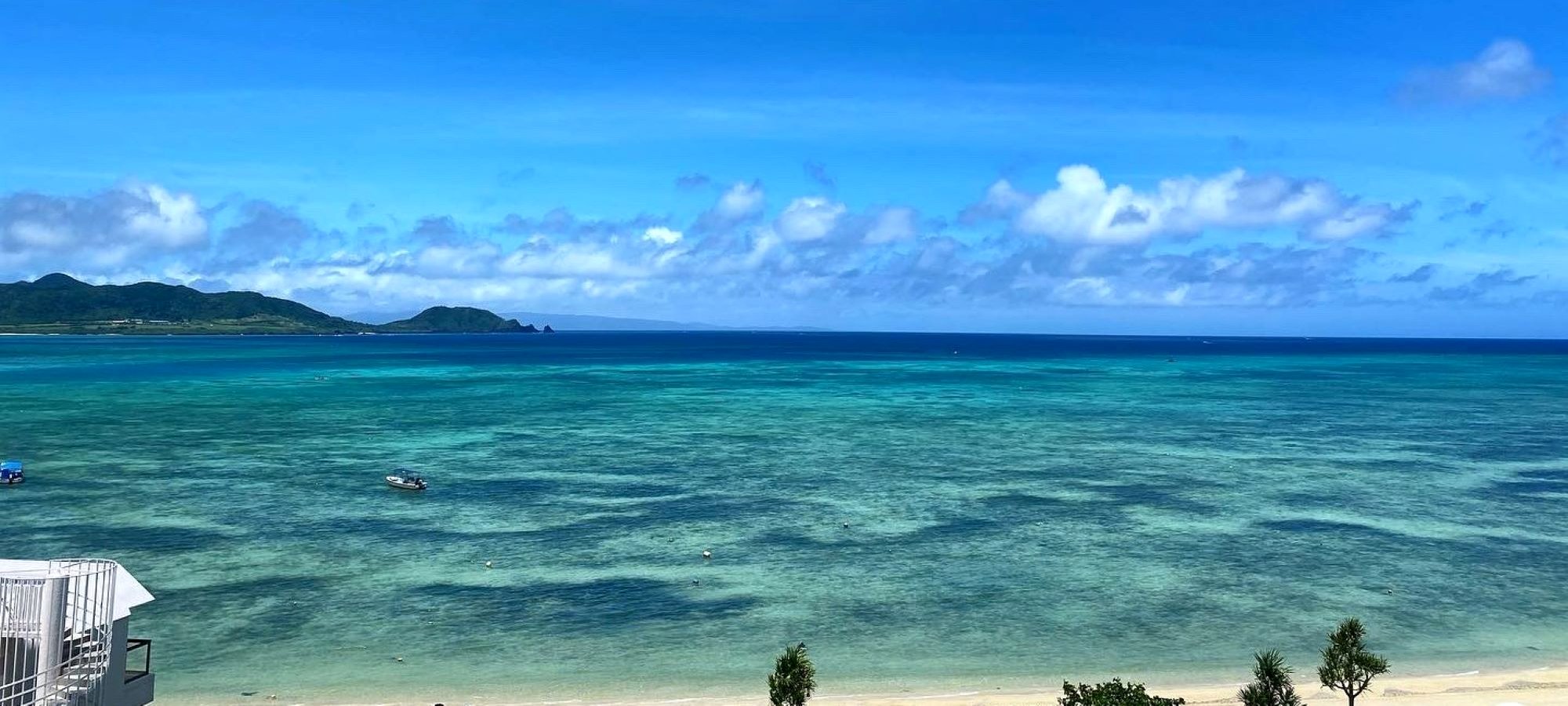 📍 立地