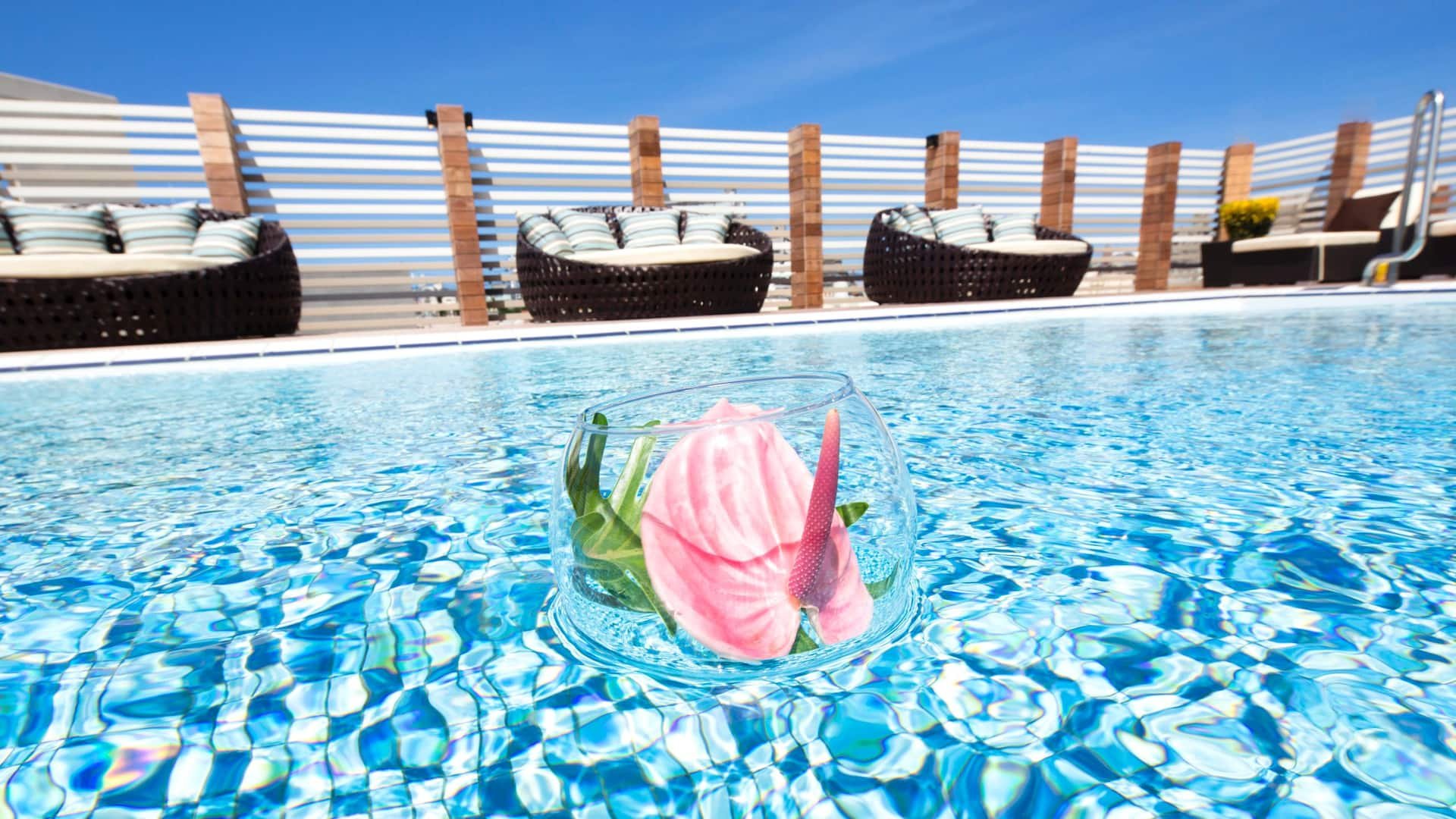 🏊 プール